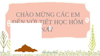 Giáo án điện tử Công nghệ 7 Bài 4 Kết nối tri thức: Thu hoạch sản phầm trồng trọt