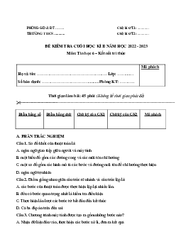 Đề thi học kì 2 môn Tin học 6 năm 2022 - 2023 sách Kết nối tri thức với cuộc sống | Đề 2