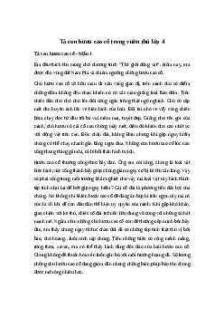 Tả con hươu cao cổ trong vườn thú | Tập làm văn 4