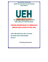 MÔ HÌNH EB-IB VÀ CHÍNH SÁCH BÌNH ỔN HẬU COVID-19 TẠI VIỆT NAM 23D1ECO