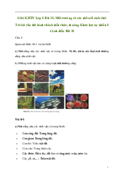 Giải KHTN 8 Bài 38: Môi trường và các nhân tố sinh thái | Cánh diều