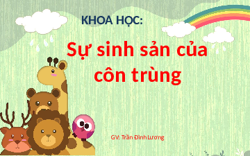 Giáo án điện tử Khoa học 5 Cánh diều: Sự sinh sản của côn trùng