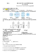 Đề thi thử tốt nghiệp THPT 2025 môn Sinh học bám sát đề minh họa - Đề 12