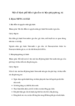 Giải Công nghệ 11 Bài 13: Một số bệnh phổ biến ở gia cầm và biện pháp phòng, trị | Kết nối tri thức
