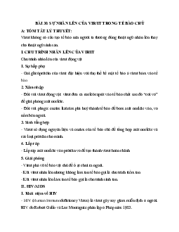 Tóm tắt lý thuyết Sinh học 10 bài 30: Sự nhân lên của virut trong tế bào chủ | Kết nối tri thức