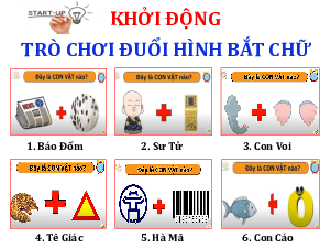 Bài 10: Sinh vật Việt Nam | Bài giảng PowerPoint Địa Lí 8 | Kết nối tri thức