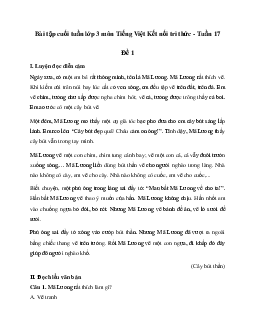 Bài tập cuối tuần lớp 3 môn Tiếng Việt Kết nối tri thức - Tuần 17