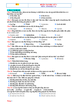 Đề ôn thi HK1 môn Sinh 10 Kết nối tri thức-Đề 1 (có đáp án)