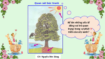 Giáo án điện tử Khoa học tự nhiên 7 bài 30 Kết nối tri thức : Trao đổi nước và chất dinh dưỡng ở thực vật
