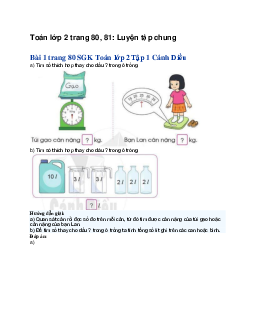 Toán lớp 2 trang 80, 81: Luyện tập chung | Cánh diều