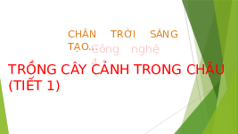 Giáo án điện tử Công nghệ 4 Bài 4 Tiết 1 Chân trời sáng tạo: Trồng cây cảnh trong chậu
