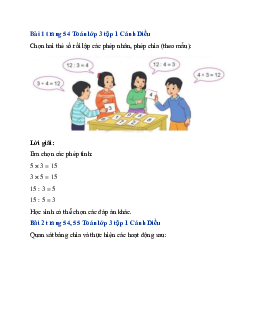 Giải SGK Toán lớp 3 trang 54, 55 Luyện tập (Tiếp theo) | Cánh Diều