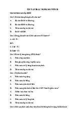 Ôn tập trắc nghiệm Câu hỏi Internet và MS Office cấp độ dễ môn Công nghệ thông tin | Trường Đại học Nam Cần Thơ