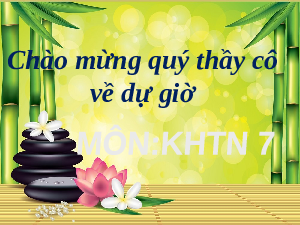 Giáo án điện tử Khoa học tự nhiên 7 bài 1 Kết nối tri thức : Phương pháp và kĩ năng học tập môn Khoa học tự nhiên