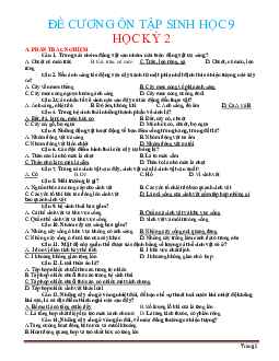 Đề cương ôn tập HKII môn Sinh học 9 (có đáp án)