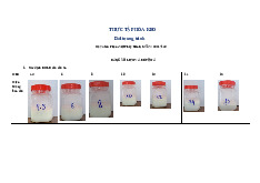 Bài tường trình thực tập | Hóa Keo | Trường Đại học Khoa học Tự nhiên, Đại học Quốc gia Hà Nội