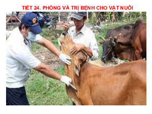 Bài giảng điện tử môn Công nghệ 7 Bài 10: Phòng và trị bệnh cho vật nuôi (Tiết 24) | Cánh diều