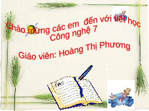 Giáo án điện tử Công nghệ 7 Bài 3 Kết nối tri thức: Gieo trồng, chăm sóc và phòng trừ sâu, bệnh cho cây trồng