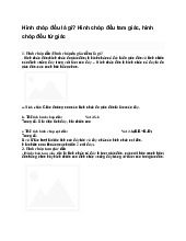 Hình chóp đều là gì? Hình chóp đều tam giác, hình chóp đều tứ giác - Toán 8