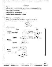  Coumarin: Tính chất và phương pháp định tính- Đề cương môn dược liệu  -Trường Đại học dược Hà Nội