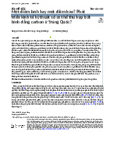 Một điềm lành hay một điềm báo? Phát triển kinh tế kỹ thuật số có thể thu hẹp bất bình đẳng carbon ở Trung Quốc? môn Kinh tế vi mô | Trường Đại học Kinh Tế Quốc Dân
