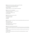 Đề ôn thi môn kinh tế vĩ mô | Trường Đại học Kinh tế Thành phố Hồ Chí Minh