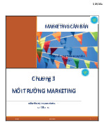Chương 3: Môi Trường Marketing Cơ Bản môn Marketing internet | Trường Đại Học Thái Nguyên