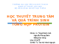Học thuyết trung tâm và quá trình sinh tổng hợp protein | Đại học Bách khoa TP.HCM