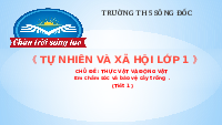 Giáo án điện tử Tự nhiên và xã hội 1 bài 17 Chân trời sáng tạo : Em chăm sóc và bảo vệ cây trồng