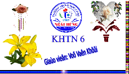 Giáo án điện tử Khoa học tự nhiên 6 bài 36 Chân trời sáng tạo : Tác dụng của lực