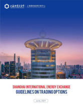 Guidelines on Trading Options | Môn Thương mại điện tử - Trường Đại học Kinh tế, Đại học Huế