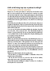 Chất có thể trùng hợp tạo ra polime là chất gì?