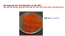 Giáo án điện tử Khoa học tự nhiên 6 bài 25 Chân trời sáng tạo : Vi khuẩn