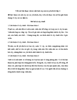 Top 48 Mở bài Tả cây cối | Tập làm văn 4