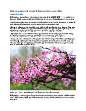 Chính thức có thông báo về Lịch nghỉ Tết Nguyên đán 2025 và các ngày lễ khác