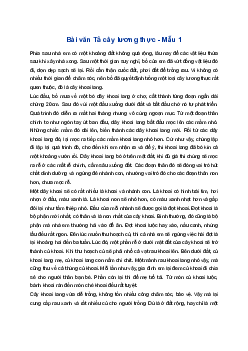 Tả cây lương thực | Tập làm văn 4