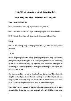 Soạn bài Viết: Viết bài văn miêu tả cây cối | Kết nối tri thức