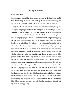 Tả cây mận | Tập làm văn lớp 4