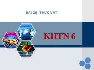 Bài 29: Thực vật | Bài giảng PowerPoint KHTN 6 | Chân trời sáng tạo