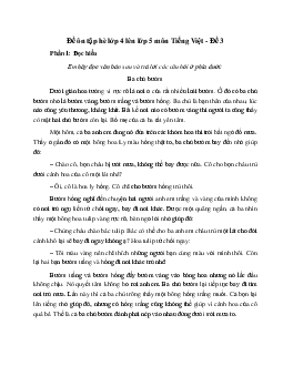 Phiếu bài tập ôn hè lớp 4 lên lớp 5 năm 2024 môn Tiếng Việt - Đề 3