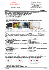 Đề thi học kỳ 1 môn Hoá học lớp 10 năm học 2024 - 2025 - Đề số 1 | Bộ sách Kết nối tri thức