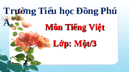 Giáo án điện tử Tiếng việt 1 bài 1 Chân trời sáng tạo : P, p, ph