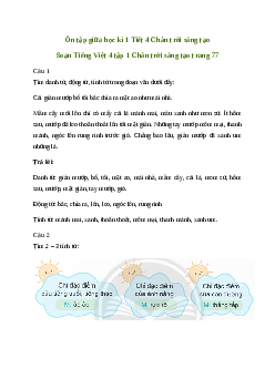 Ôn tập giữa học kì 1 Tiết 4 | Chân trời sáng tạo