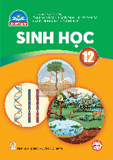 Sách giáo khoa Sinh học 12 - Chân trời sáng tạo