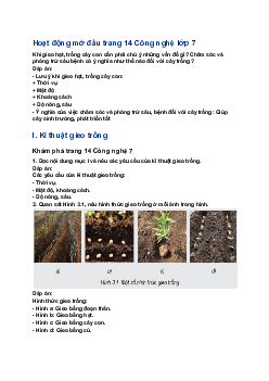 Giải Công nghệ 7 Bài 3: Gieo trồng, chăm sóc và phòng trừ sâu, bệnh cho cây trồng| Kết nối tri thức