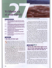 Chương sinh học: Vi khuẩn | Môn Cơ sở khoa học tự nhiên xã hội - Đại học Sư phạm Hà Nội 2