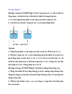 Giải Khoa học tự nhiên 8 bài: Ôn tập chủ đề 5  | Chân trời sáng tạo
