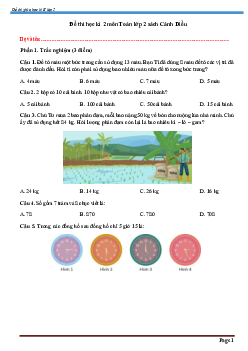 Đề thi giữa học kì 2 môn Toán 2 năm 2023 - 2024 sách Cánh diều đề 2