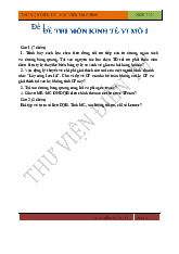 Đề thi môn Kinh tế vi mô 1 | Học viện Tài chính