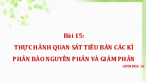 Chủ đề 7. Bài 15: Thực hành làm tiêu bản | Bài giảng PowerPoint môn Sinh học 10 | Cánh diều